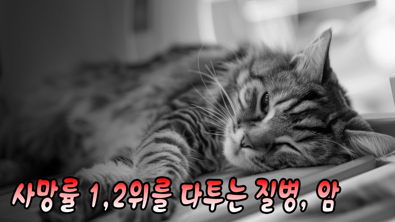 암을 예방하는 방법