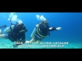 PADI Advanced Open Water Diver Course Japanese