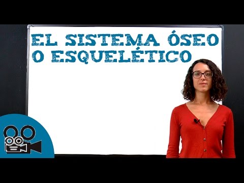 Video: ¿En la definición del sistema esquelético?