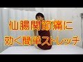 仙腸関節痛に効く簡単ストレッチ　和歌山の整体「廣井整体院」
