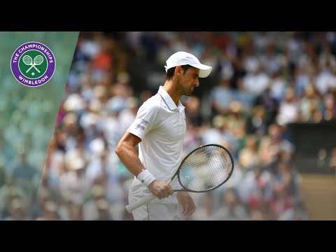 Novak Djokovic vs David Goffin Wimbledon 2019 quarter-final highlights