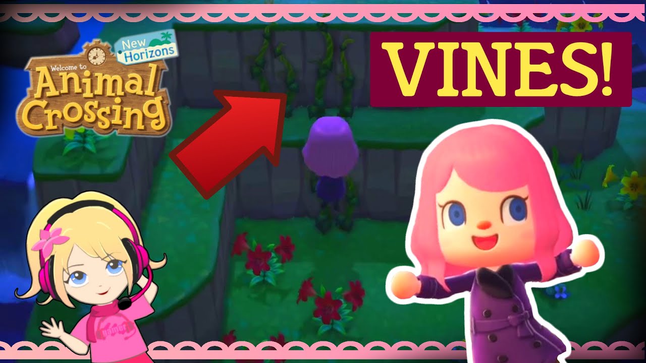 How To Get Vines in Animal Crossing New Horizons YouTube
