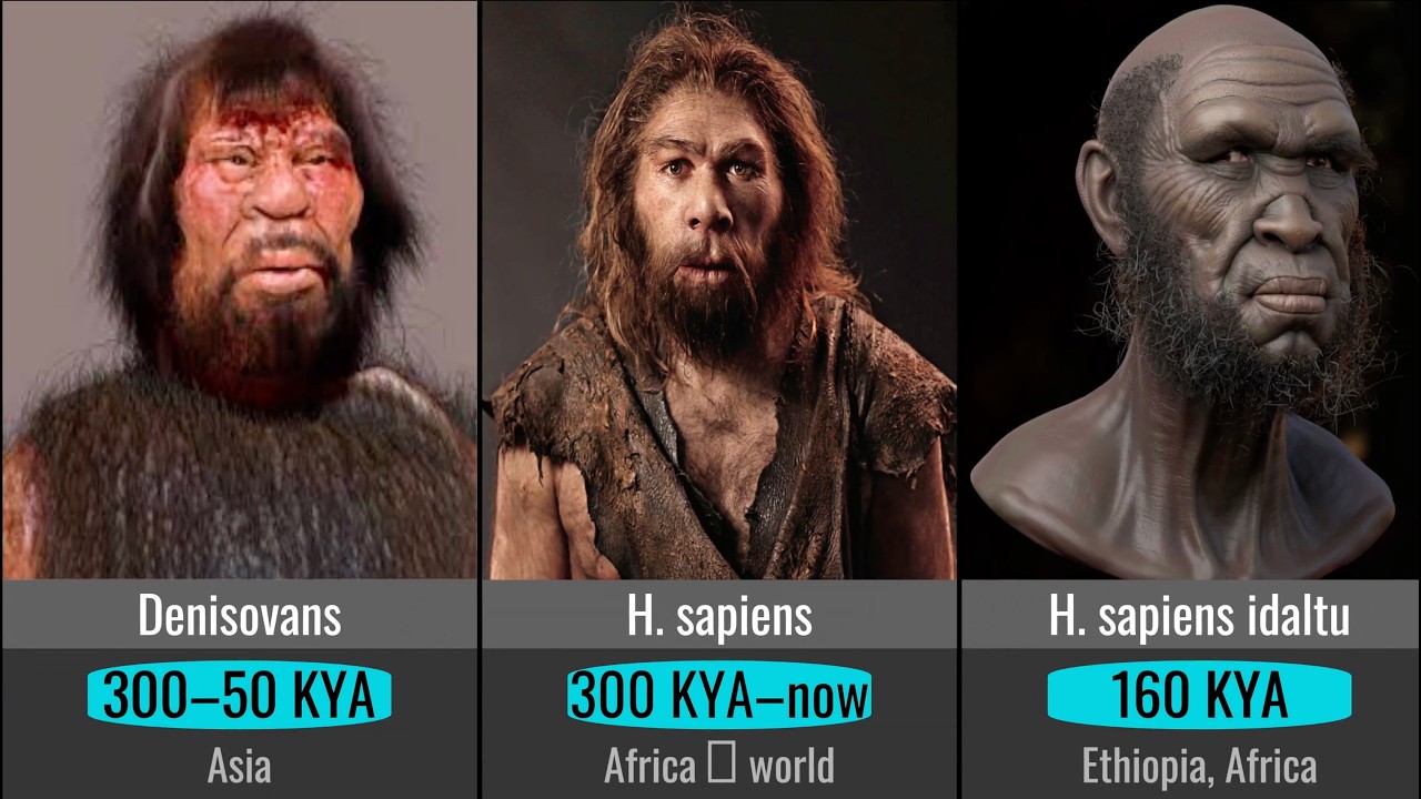 Human Evolution in 60 Seconds 🤯 From First Human to AI - YouTube
