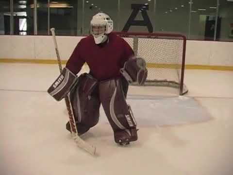 Making the save butterfly goalie silhouette