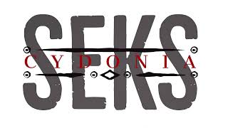 Seks Cydonia - The recovery (Instrumental)