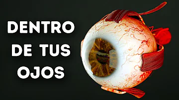 ¿Cuántos ojos puede tener un ser humano?