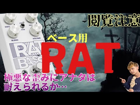 ベース RAT BASS Comodoro RAT BASS コンパクトエフェクター ベース