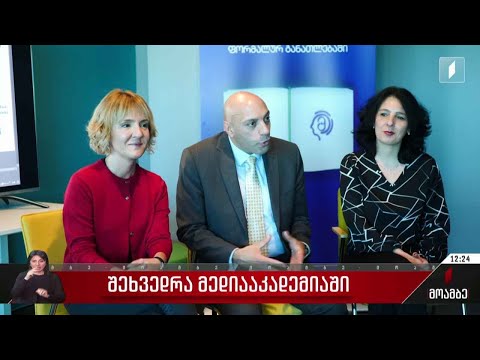 შეხვედრა მედიააკადემიაში