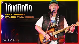 Only Monday Feat. 3rd Tilly Birds - ได้แต่นึกถึง | GeneLab  GeneLab