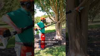 Safely trim branches with the 3-cut method | Get It Growing #garden #homegardening #tree #treecare