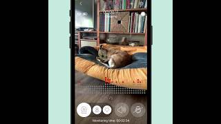 Buddy Dog Monitor app 🐶 #petcam #dogmonitor screenshot 1