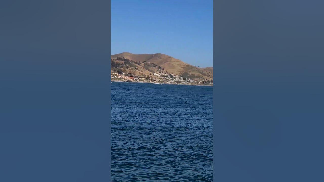 Cayucos, CA from the pier
