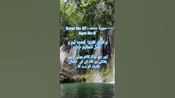 Surat No 47 : سورة محمد - Ayat No 8 #subhanallah #viral #love #