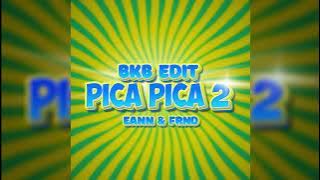 PICA PICA 2 (EANN X FRND BKB EdiT)