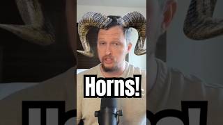 When Your Horns Are Bigger Than Your Brain