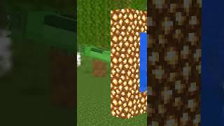 Paradise Portal Illusion Minecraft Mobs Transformation