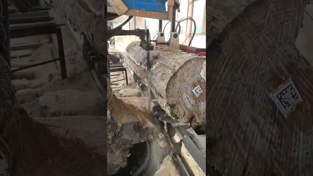 Amazing Wood Cutting Machine 