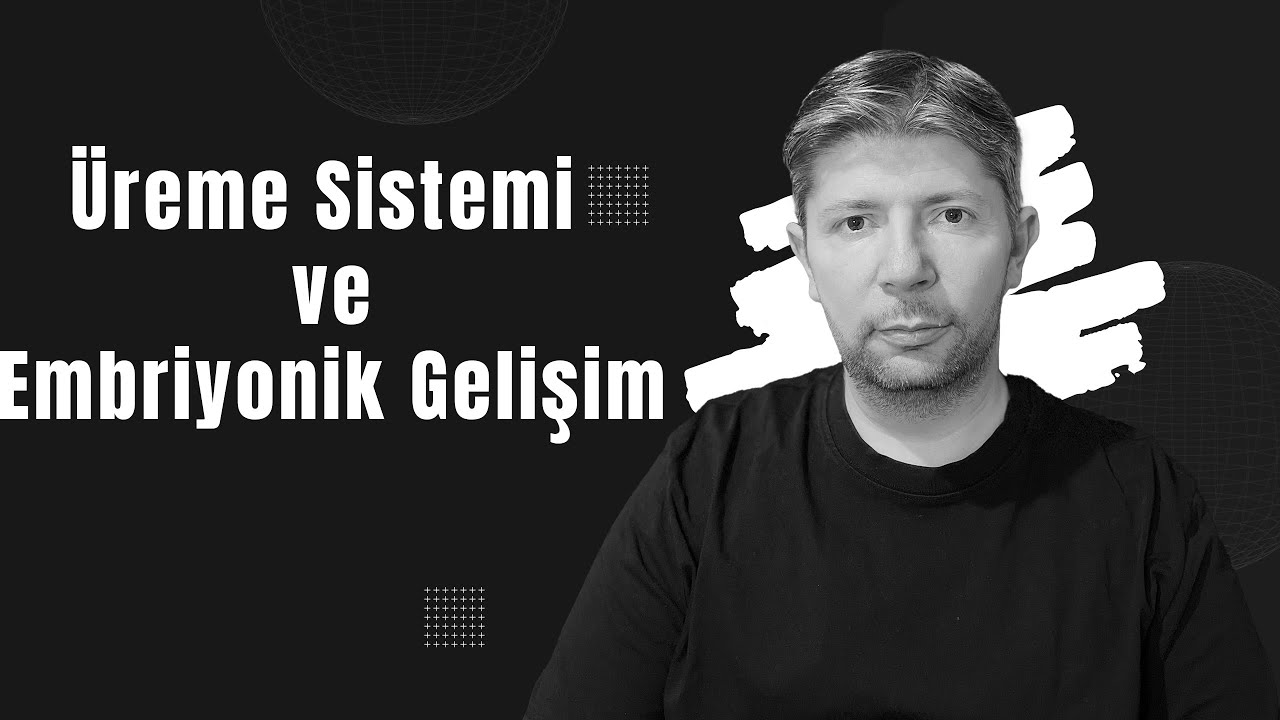 Üreme Sistemi ve Embriyonik Gelişim #biyoloji #aytbiyoloji #üremesistemi #embriyonikgelişim