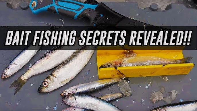 How To Rig The New Luhr Jensen Whole Bait Head 