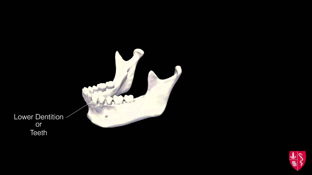 Lesson thumbnail