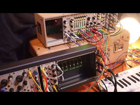 W  I  L  D / Tom4  - resonant corps - Mutable instruments/Mannequins
