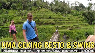 Download Lagu TREKKING SAWAH BERUNDAK | UMA CEKING RESTO \u0026 SWING MP3