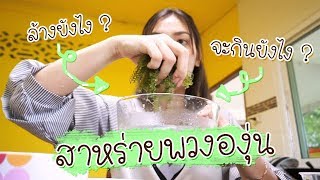 วิธีกินและวิธีล้างสาหร่ายพวงองุ่นอย่างละเอียด !! | Tunny slime