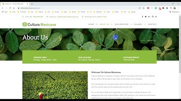 Small Business Website Design - Website Redesign Official Video