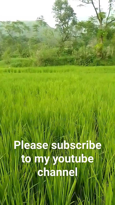 So Beautiful