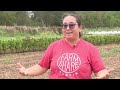Farmshare Austin seeks support after city funding cuts