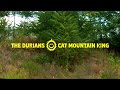 The Durians - Cat Mountain King ⭐️ Official Videoclip