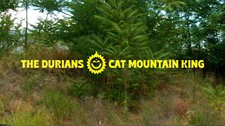 The Durians - Cat Mountain King ⭐️ Official Videoclip