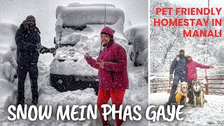 Pet friendly homestay in Manali | Heavy Snow in Manali