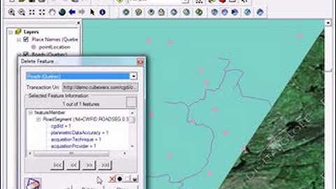 CarbonArc PRO - How to edit WFS-T data