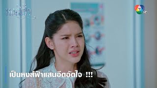 เป็นหงส์ฟ้าแสนอึดอัดใจ !!! | ตอกย้ำความสนุก หงส์ฟ้า EP.21 | Ch7HD