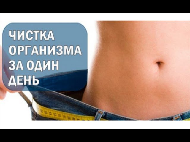 Чистка организма за 1 день натуральными и безопасными методами