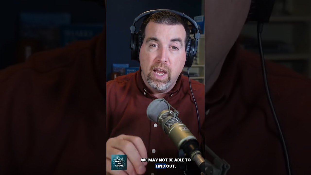 New protections could change the future for sharks and manta rays.