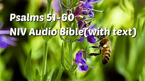 Psalms 51-60: NIV Audio Bible(with text)