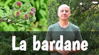Burdock: detox, eczema, psoriasis, rheumatism and more!