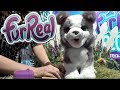 Animal Electric ??Walking Dog Rabbit Toy Plush Imitation Pet Electronic Puppy Boys Girls Children Gifts Electric Speak Dog