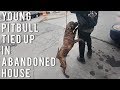 Young Pitbull Tied Up in Abandoned House | New York Bully Crew