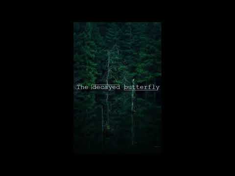 The decayed butterfly - Векфильдский Священник (prod. by Dashevsky, Sun Whisper)