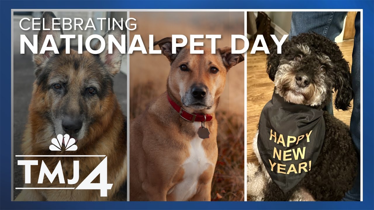 It's National Pet Day! A time to honor pets who need a little extra love