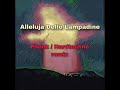 Alleluja Remix 