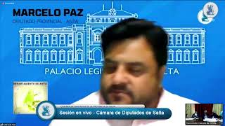Sesión en vivo - Cámara de Diputados de Salta