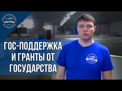 Гос поддержка и гранты от государства на развитие