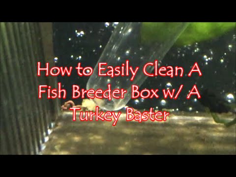 Cleaning Hacks: How To Properly Clean And Maintain Your Turkey Baster -  KitchenDance