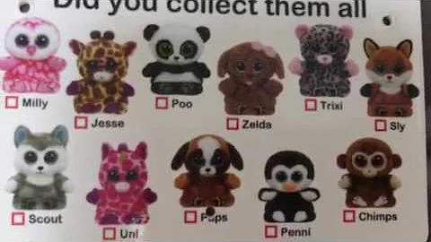 Reviewing Ty's New Release of Peek-A-Boos - ft. Milly and Scout