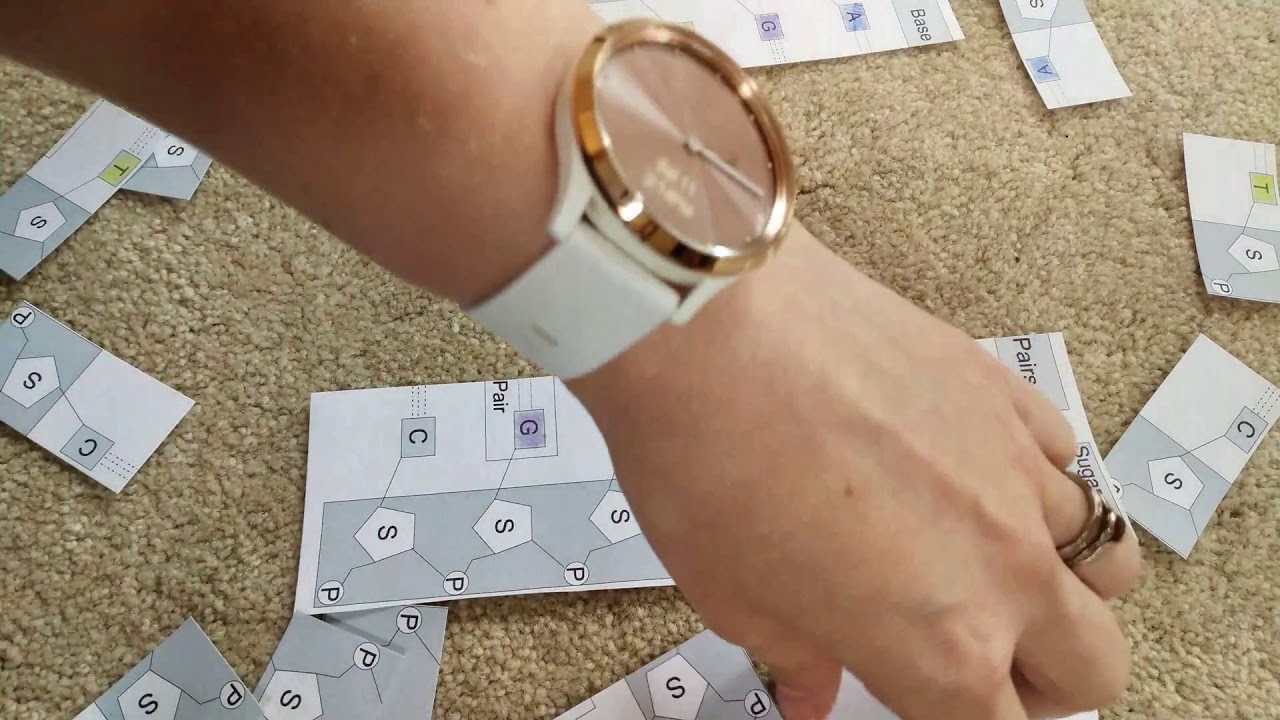 Simplified DNA replication - YouTube