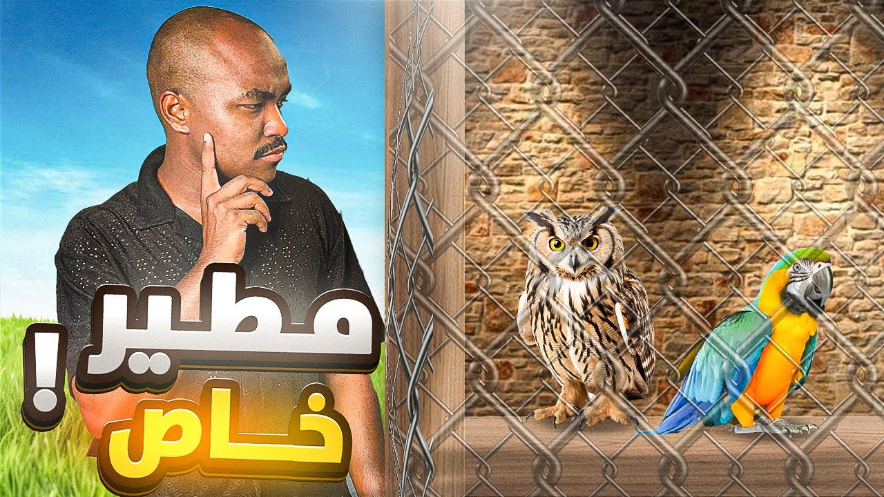 مطير خاص فيني للانتاج الجماعي شي جديد 🦜😍